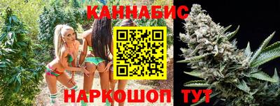 дмт Пенза