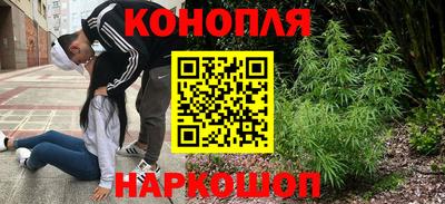 Альфа ПВП Обь