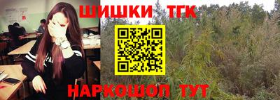 дмт Пенза